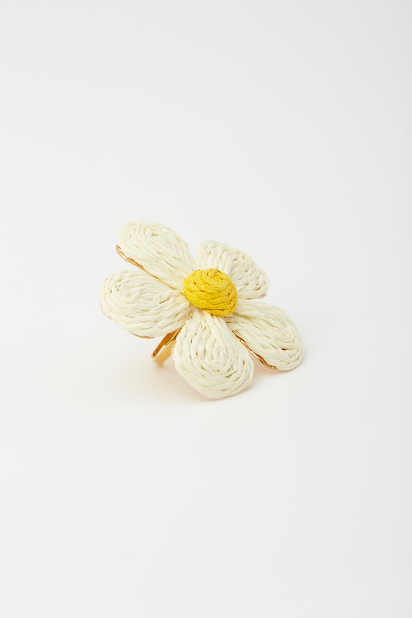 Anillo floquette
