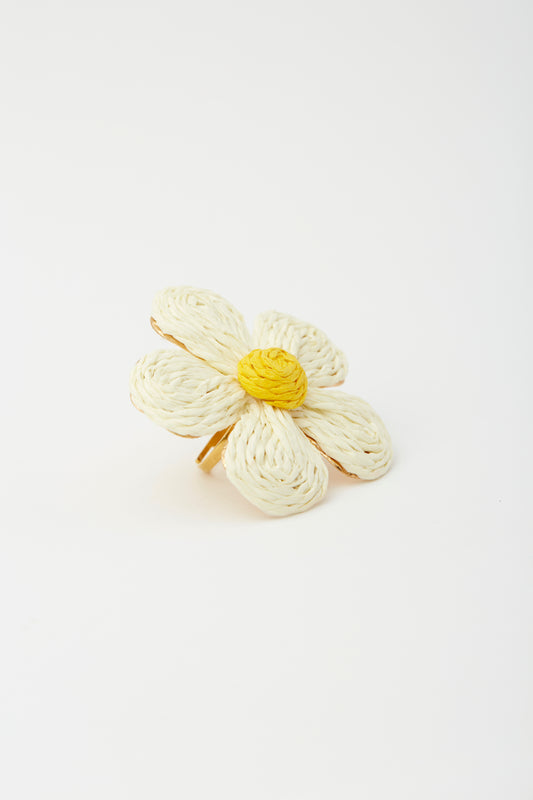 Anillo floquette